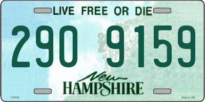 NH license plate 2909159
