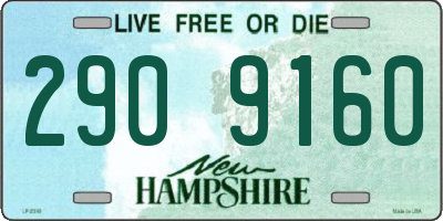 NH license plate 2909160