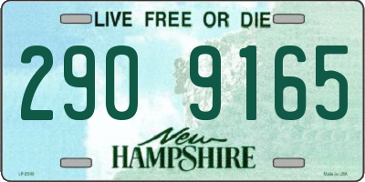 NH license plate 2909165