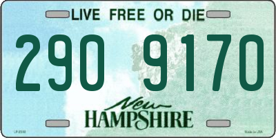 NH license plate 2909170