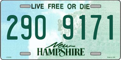 NH license plate 2909171