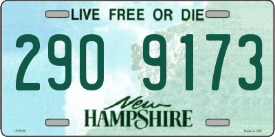 NH license plate 2909173