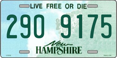 NH license plate 2909175
