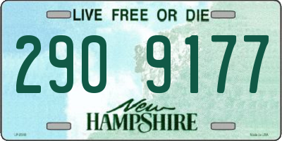 NH license plate 2909177