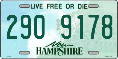 NH license plate 2909178