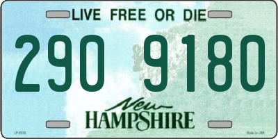NH license plate 2909180