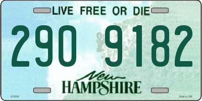 NH license plate 2909182