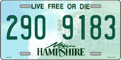 NH license plate 2909183