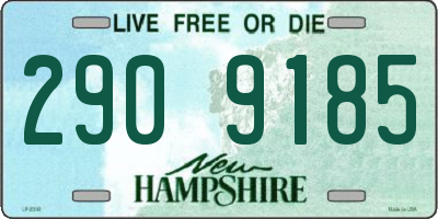 NH license plate 2909185