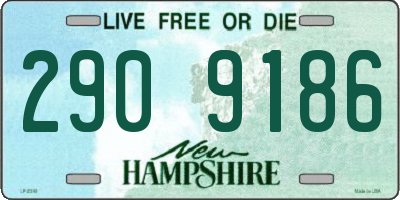 NH license plate 2909186