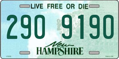 NH license plate 2909190