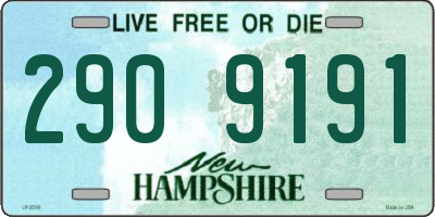 NH license plate 2909191