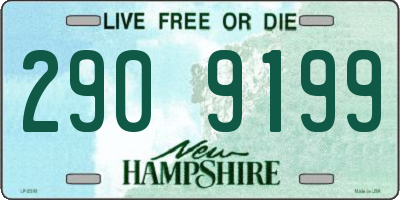 NH license plate 2909199