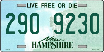 NH license plate 2909230