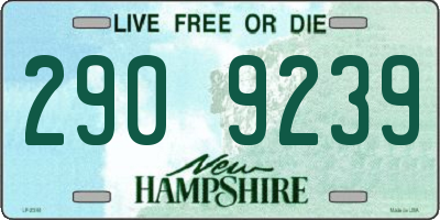 NH license plate 2909239