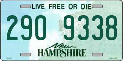 NH license plate 2909338