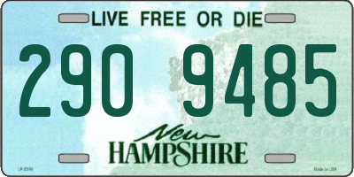 NH license plate 2909485