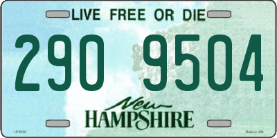 NH license plate 2909504