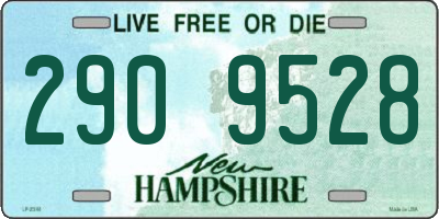 NH license plate 2909528
