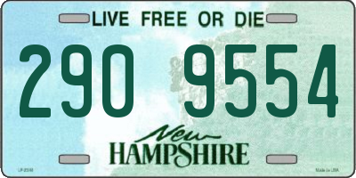 NH license plate 2909554