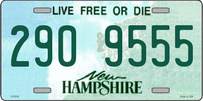 NH license plate 2909555