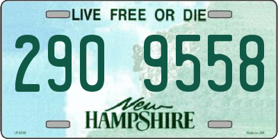 NH license plate 2909558