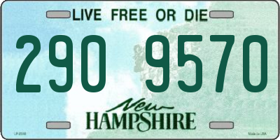 NH license plate 2909570