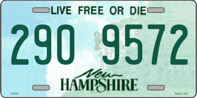 NH license plate 2909572