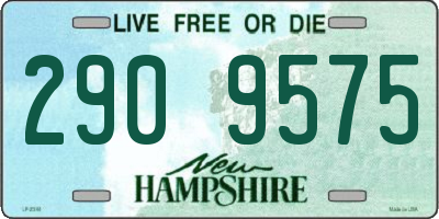 NH license plate 2909575