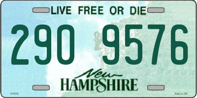 NH license plate 2909576