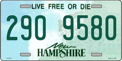 NH license plate 2909580