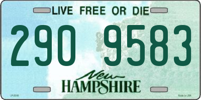 NH license plate 2909583