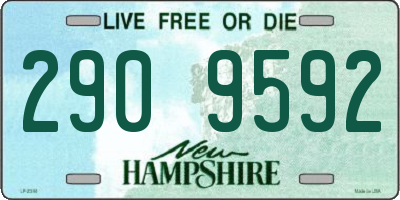 NH license plate 2909592