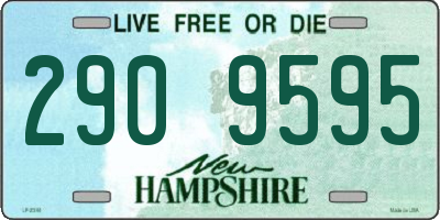 NH license plate 2909595