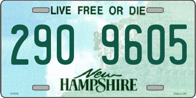NH license plate 2909605
