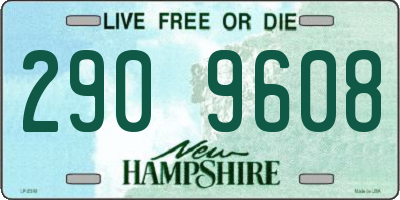 NH license plate 2909608