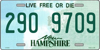 NH license plate 2909709