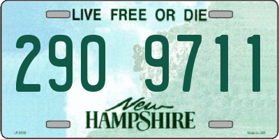 NH license plate 2909711