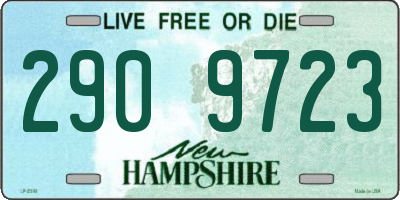 NH license plate 2909723