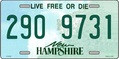 NH license plate 2909731