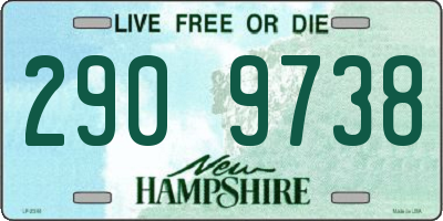 NH license plate 2909738