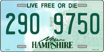 NH license plate 2909750