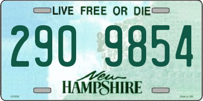 NH license plate 2909854