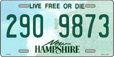NH license plate 2909873
