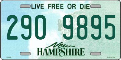 NH license plate 2909895