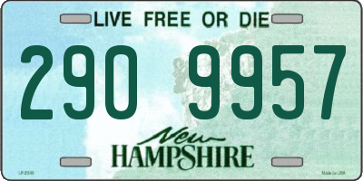 NH license plate 2909957