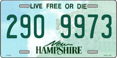 NH license plate 2909973