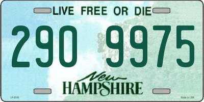 NH license plate 2909975