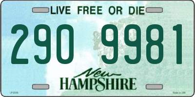 NH license plate 2909981