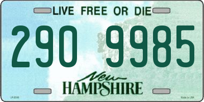 NH license plate 2909985